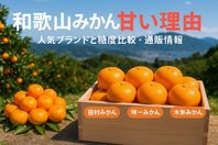 和歌山みかんが甘い理由とおすすめ人気ブランド糖度比較・通販ガイド