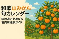 和歌山みかんの旬と品種別カレンダー徹底比較｜味の違いや選び方・直売所通販ガイド