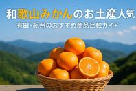 和歌山みかんのお土産人気と有田・紀州のおすすめ商品比較ガイド