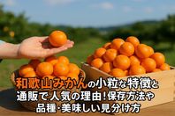 和歌山みかんの小粒な特徴と通販で人気の理由を徹底解説！保存方法や品種・美味しい見分け方も紹介