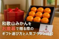 和歌山みかんをお歳暮で贈る際のギフト選び方と人気ブランド比較｜通販・直送・価格帯別の最新おすすめ情報