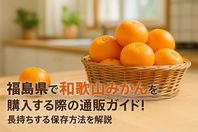 福島県で和歌山みかんを購入する際の通販ガイドと長持ちする保存方法を解説