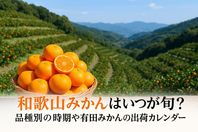 和歌山みかんはいつが旬？品種別の時期や有田みかんの出荷カレンダー徹底解説