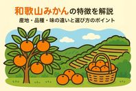 和歌山みかんの特徴を解説！産地・品種・味の違いと選び方のポイント