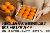 和歌山みかんを贈答用に選ぶ魅力と選び方ガイド！通販・直送で失敗しないギフト選定ポイントなど