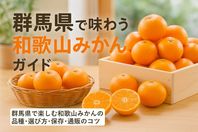 群馬県で和歌山みかんを味わう産地別品種と選び方保存法・通販完全ガイド