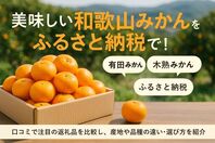 美味しい和歌山みかんをふるさと納税で！返礼品人気ランキングと口コミで徹底比較！産地や品種・失敗しない選び方ガイド