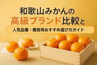 和歌山みかんの高級ブランド比較と人気品種・贈答用おすすめ選び方ガイド