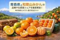 青森県と和歌山みかんの品種や生産量シェアを徹底解説｜味の秘密とギフト選び完全ガイド