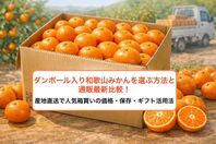 ダンボール入り和歌山みかんを選ぶ方法と通販最新比較！産地直送で人気箱買いの価格・保存・ギフト活用法