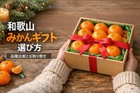 和歌山みかんギフトの選び方と品種比較、注文・お取り寄せガイド