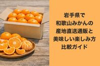 岩手県で和歌山みかんの産地直送通販と美味しい楽しみ方比較ガイド
