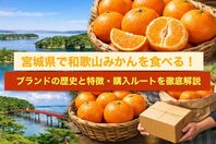 宮城県で和歌山みかんを食べる！ブランドの歴史と特徴・購入ルートを徹底解説