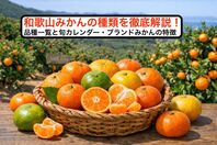 和歌山みかんの種類を徹底解説！品種一覧と旬カレンダー・ブランドみかんの特徴