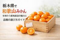 栃木県で和歌山みかんを味わう産地直送の魅力と品種の選び方ガイド