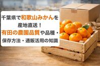 千葉県で和歌山みかんを産地直送！有田の農園品質や品種・保存方法・通販活用の知識