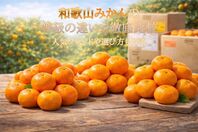 和歌山みかんの等級の違いを徹底比較｜人気ブランドや選び方も解説