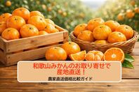 和歌山みかんのお取り寄せで産地直送！農家直送価格比較ガイド
