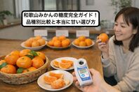 和歌山みかんの糖度完全ガイド！品種別比較と本当に甘い選び方